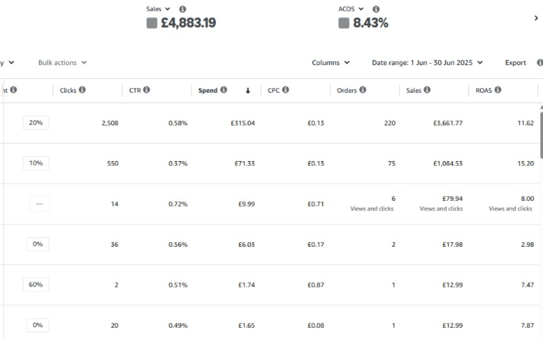 Amazon PPC and organic ranking performance from a previous growithumair project