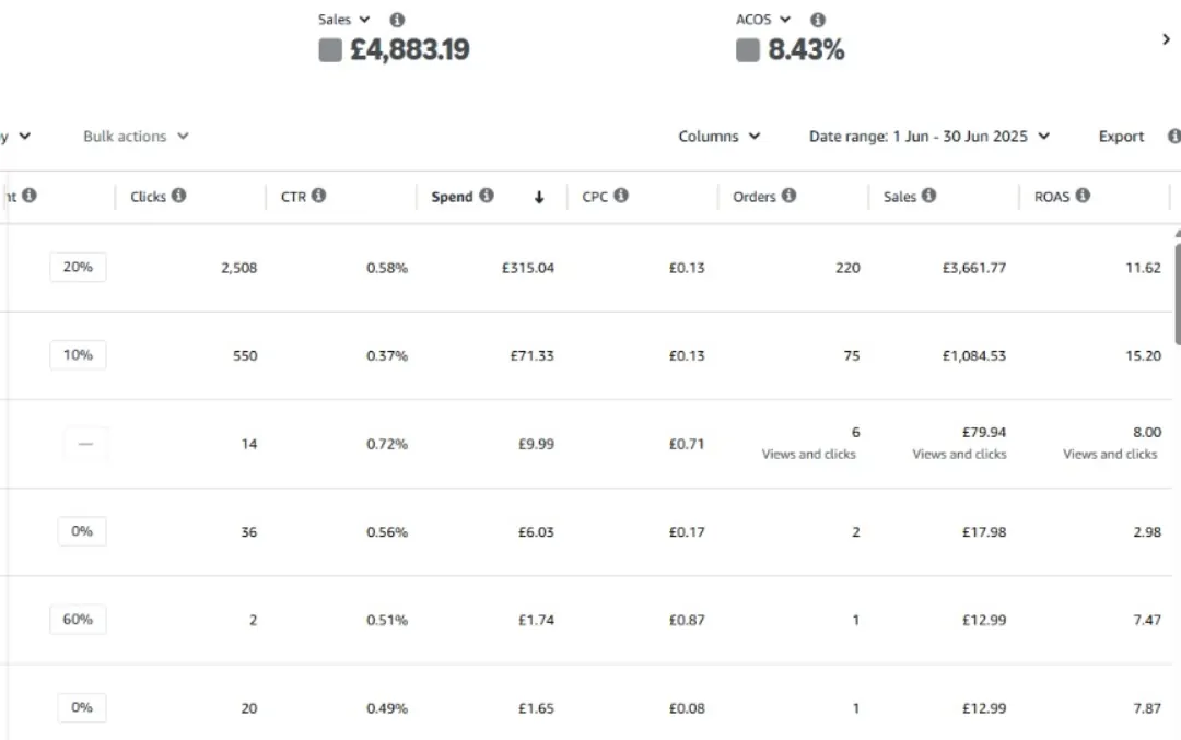 UK brand Amazon PPC campaign performance with sales and ACoS results