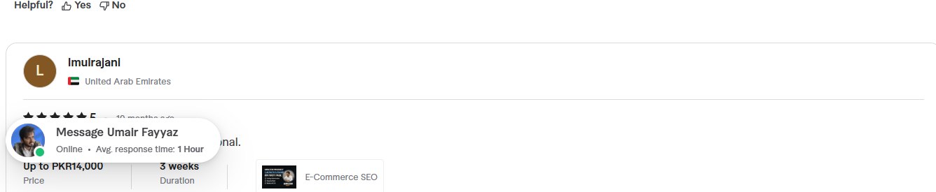 Fiverr review screenshot from a United Arab Emirates buyer showing 5 star professional feedback